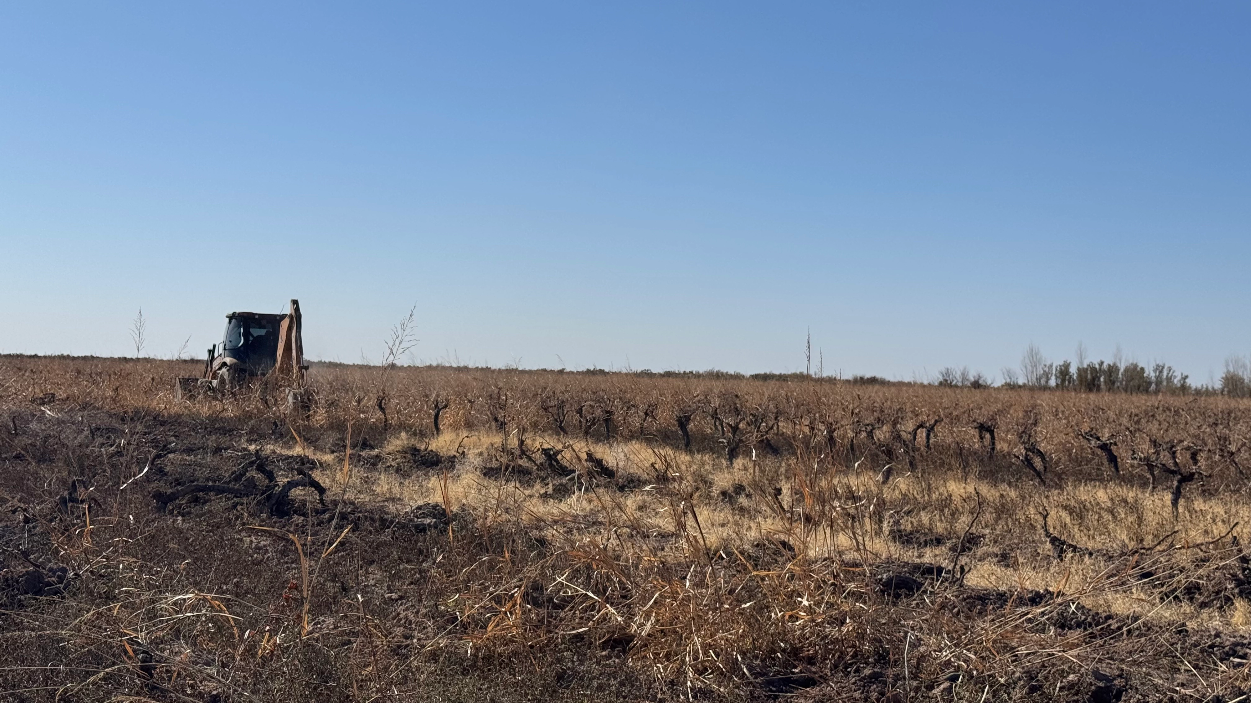 Finca mostrando Gestión Ambiental y Restauración de Suelos