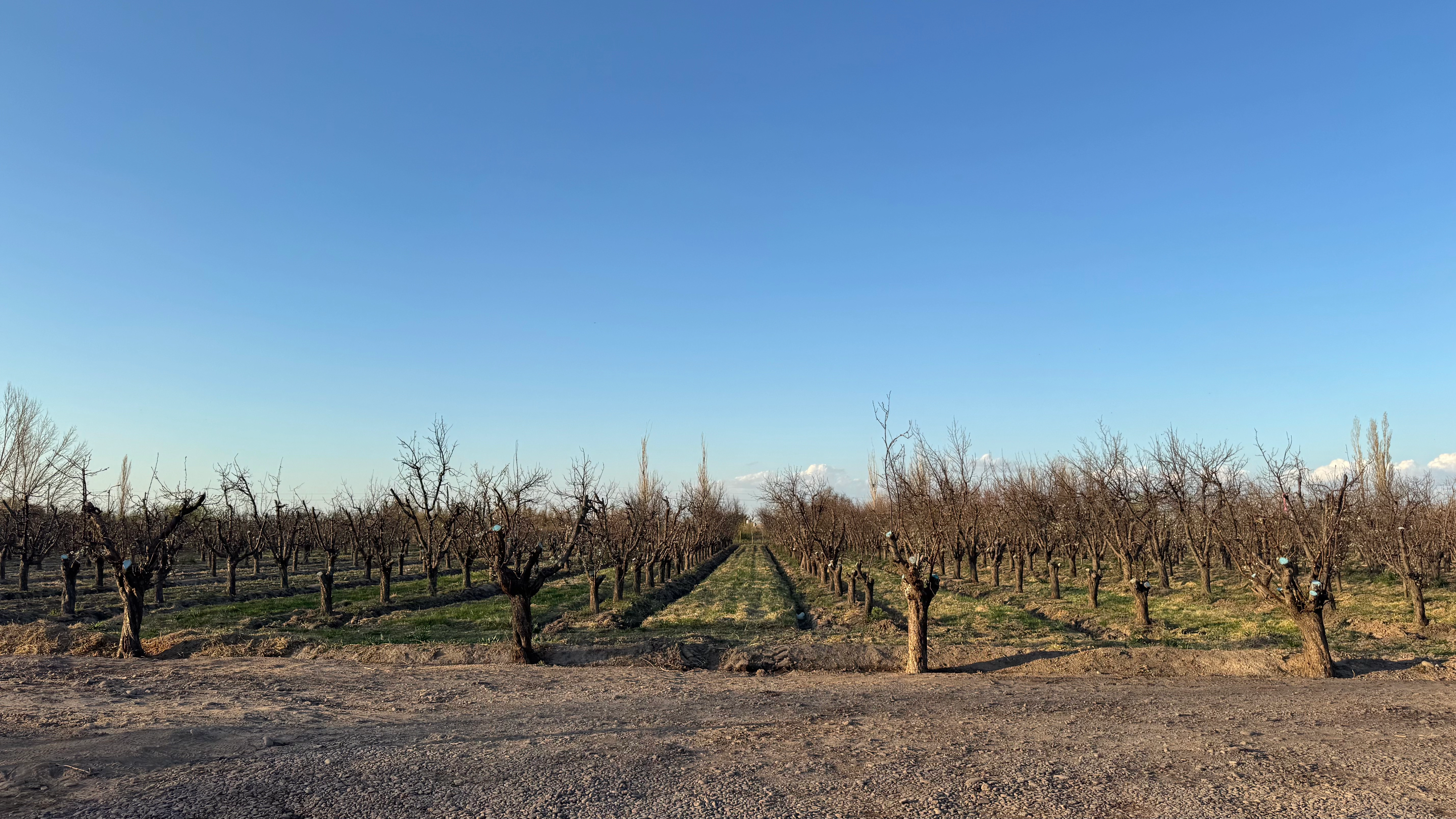 Sistemas de Riego Tecnificado en Finca Verde